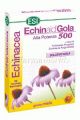 Echinaid Gola 500 Miele 30 tavolette