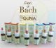 Fiori di Bach Guna -Resource Remedy  10 ml