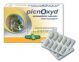 Erbavita Picnoxyd 30 capsule