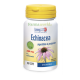 Longlife Echinacea 4% 50 Capsule