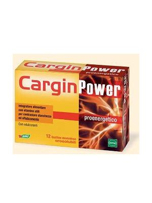 Cargin Power 12bust