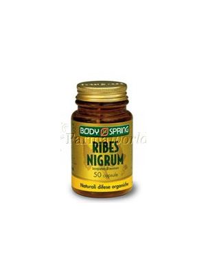 Body Spring Ribes Nigrum 50 capsule
