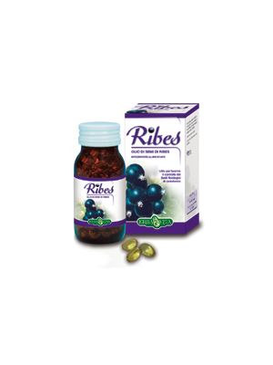 Erbavita Ribes nero 60 capsule